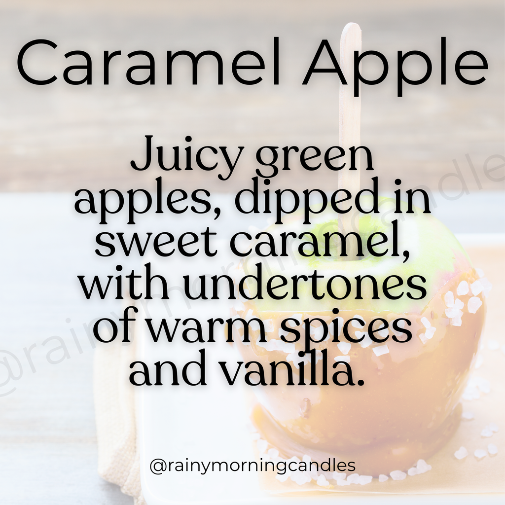 Caramel Apple soy wax melt snap bar — additional product photo.