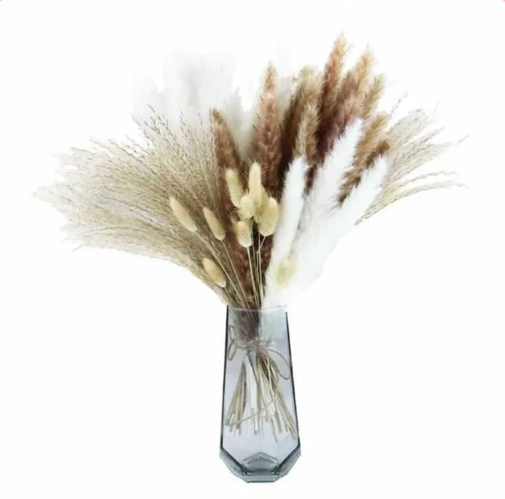 Pampas grass and bunny tail stems close-up, natural dried bouquet