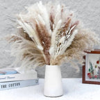 Dried pampas grass bouquet, 110-piece boho set with bunny tails and reed grass