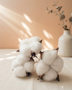 Natural dried cotton bolls, set of 6 on wire picks
